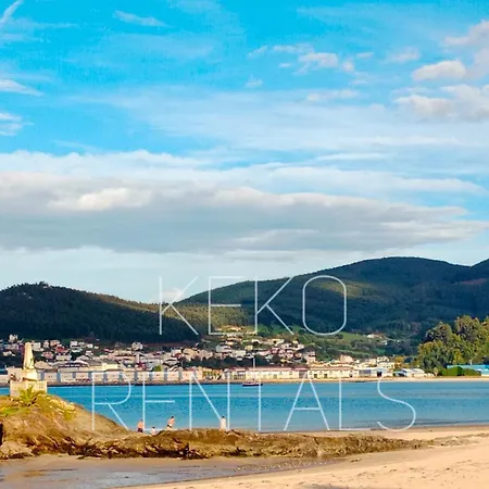 Steve ויביירו